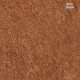 ARTE | Boutique | Canyon